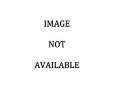 CB 6844: Wooded Landscape Work 6844: Wooded Landscape