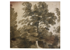 CB 538: A Large Tree Work 538: A Large Tree