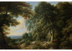 CB 6079: The Sonian Forest Work 6079: The Sonian Forest