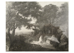 CB 6104: The Edge of a Wood Work 6104: The Edge of a Wood