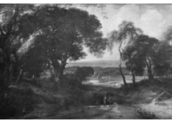 CB 6336: A Woody Landscape Work 6336: A Woody Landscape