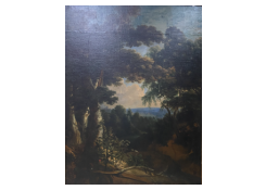 CB 6395: Forest Spot Work 6395: Forest Spot