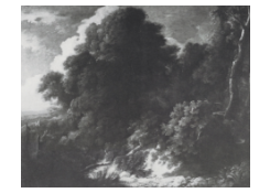CB 6496: A Wooded Landscape Work 6496: A Wooded Landscape