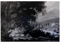 CB 6543: Forest View Work 6543: Forest View