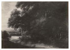 CB 6703: Wooded Landscape Work 6703: Wooded Landscape