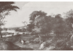 CB 6720: Forest Landscape Work 6720: Forest Landscape