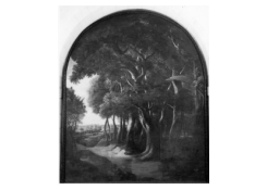 CB 6947: Landscape Work 6947: Landscape