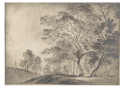 CB 7022: Woody Landscape Work 7022: Woody Landscape