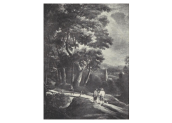 CB 7027: Landscape Work 7027: Landscape