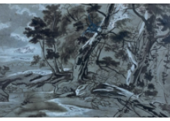 CB 7055: Wooded Landscape Work 7055: Wooded Landscape