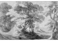 CB 948: Forest View Work 948: Forest View