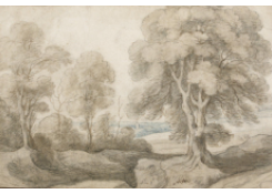 CB 954: Wooded Landscape Work 954: Wooded Landscape